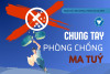 Trường Đại học Y Dược Thái Bình chung tay phòng, chống ma túy